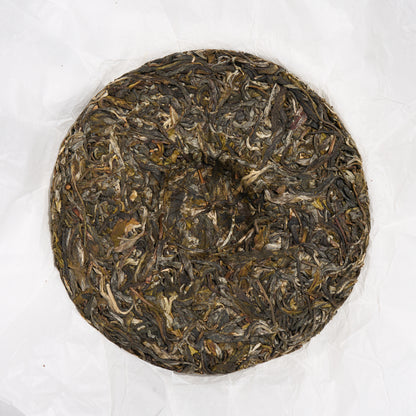 2026 Old Dragon's Grove Gushu Puerh