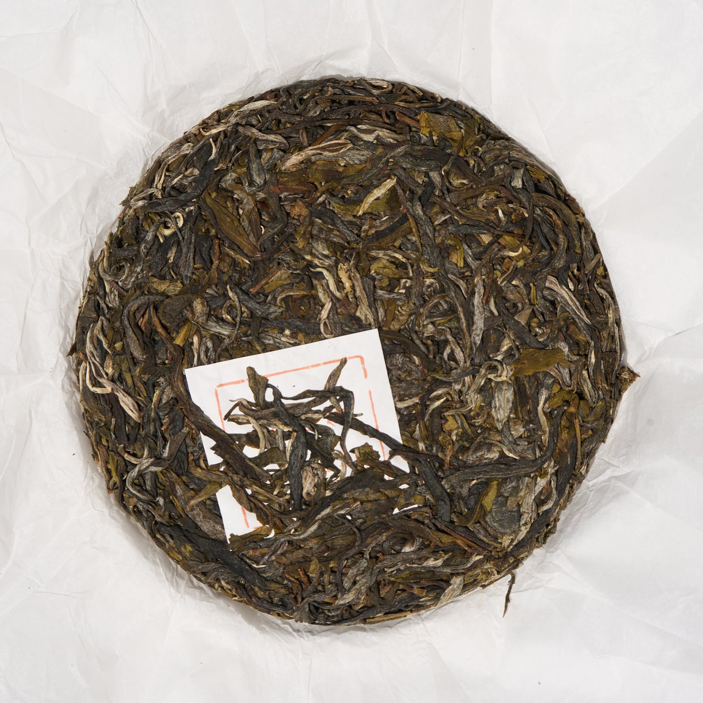 2026 Old Dragon's Grove Gushu Puerh