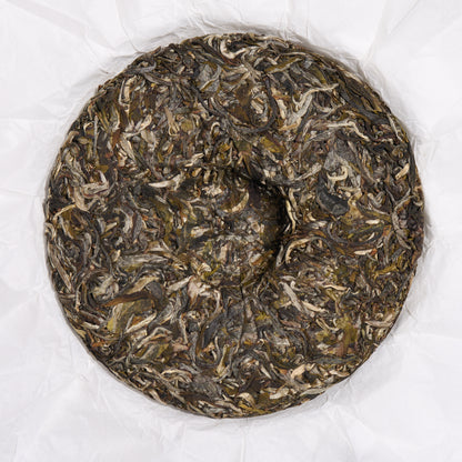 2026 Cat's Ear - Yiwu Guoyoulin Puerh