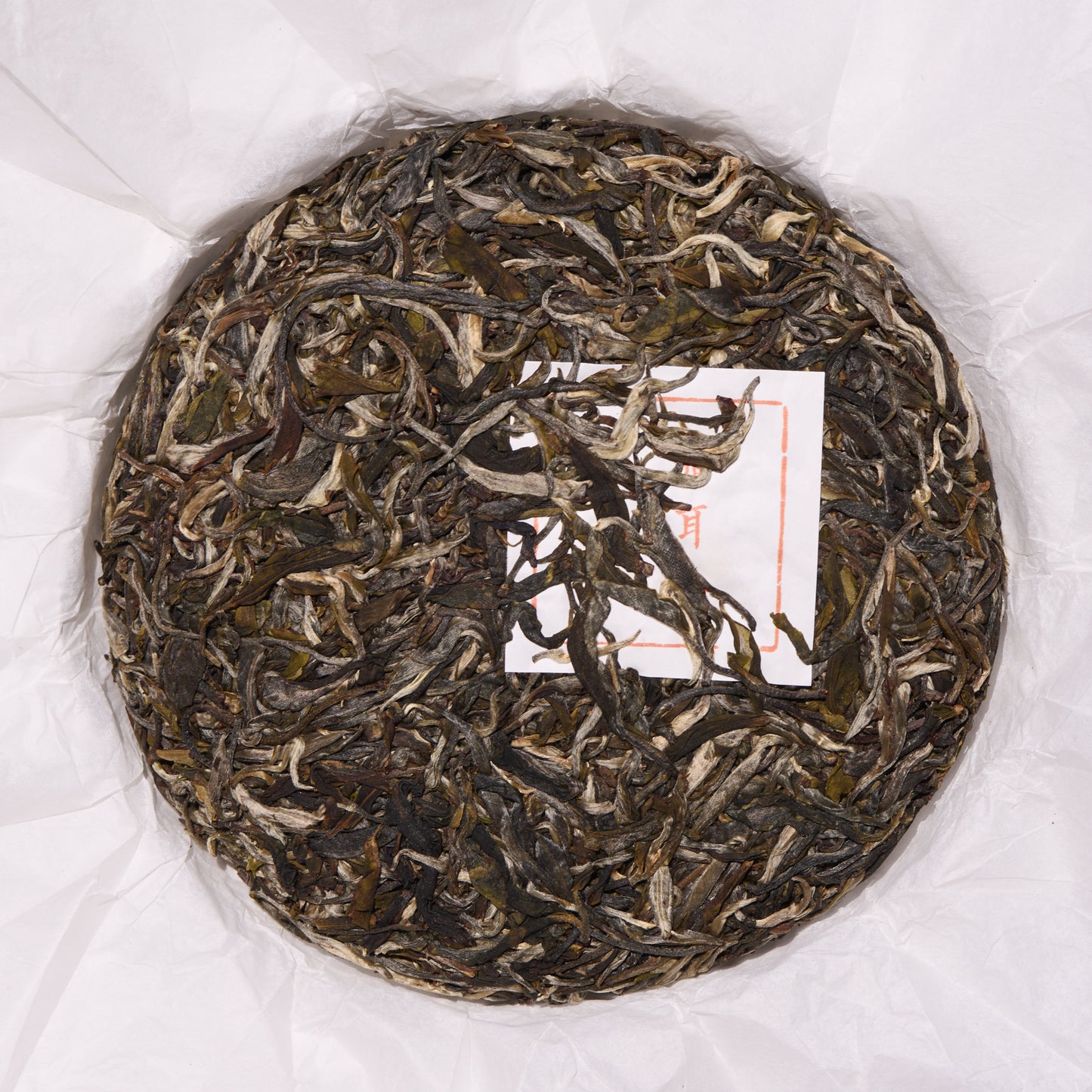 2026 Cat's Ear - Yiwu Guoyoulin Puerh