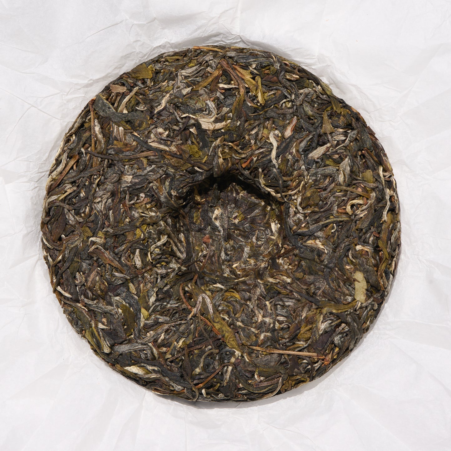 2026 Bull's Head Ridge Gushu Puerh