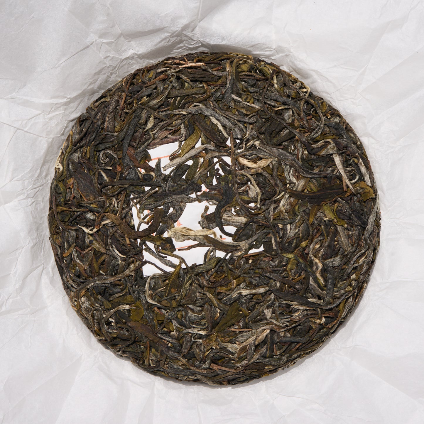 2026 Bull's Head Ridge Gushu Puerh