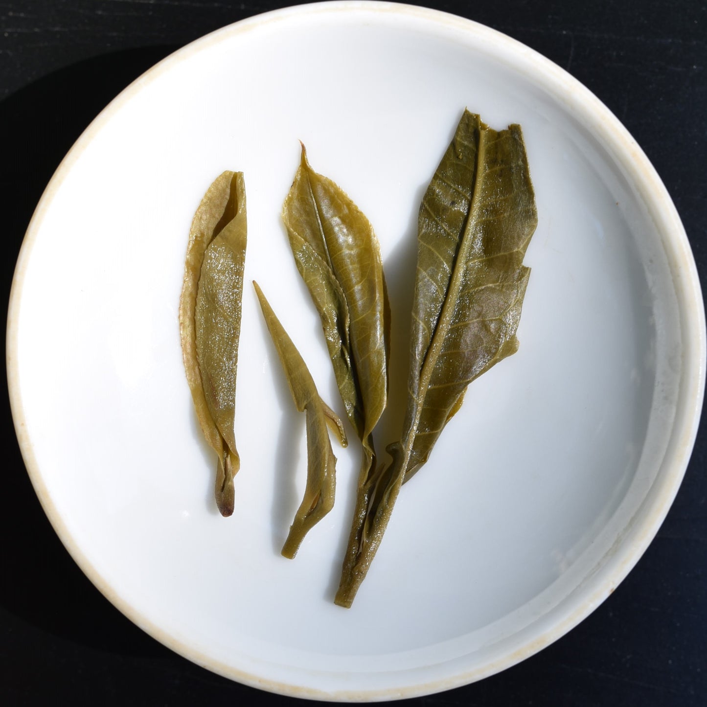 2026 Wilderness - ManZhuan Puerh