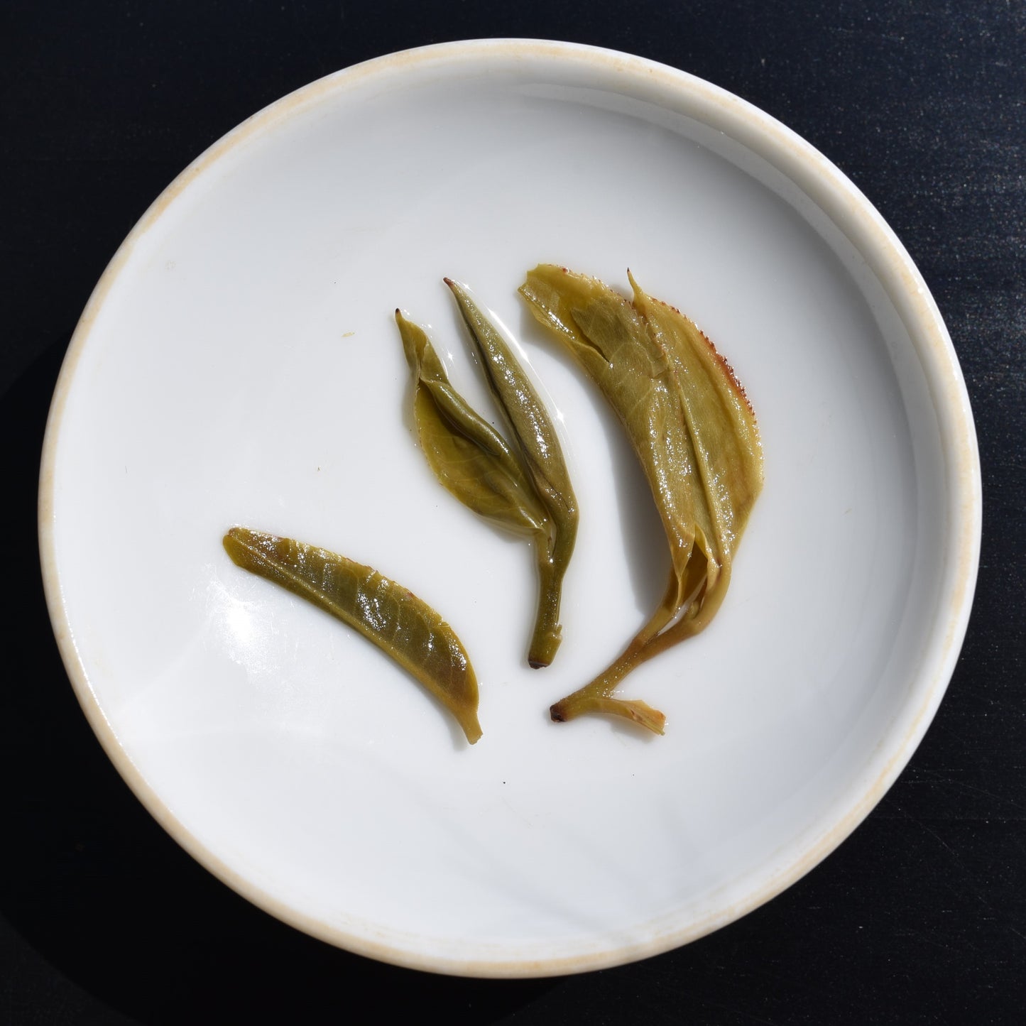 2026 Cat's Ear - Yiwu Guoyoulin Puerh