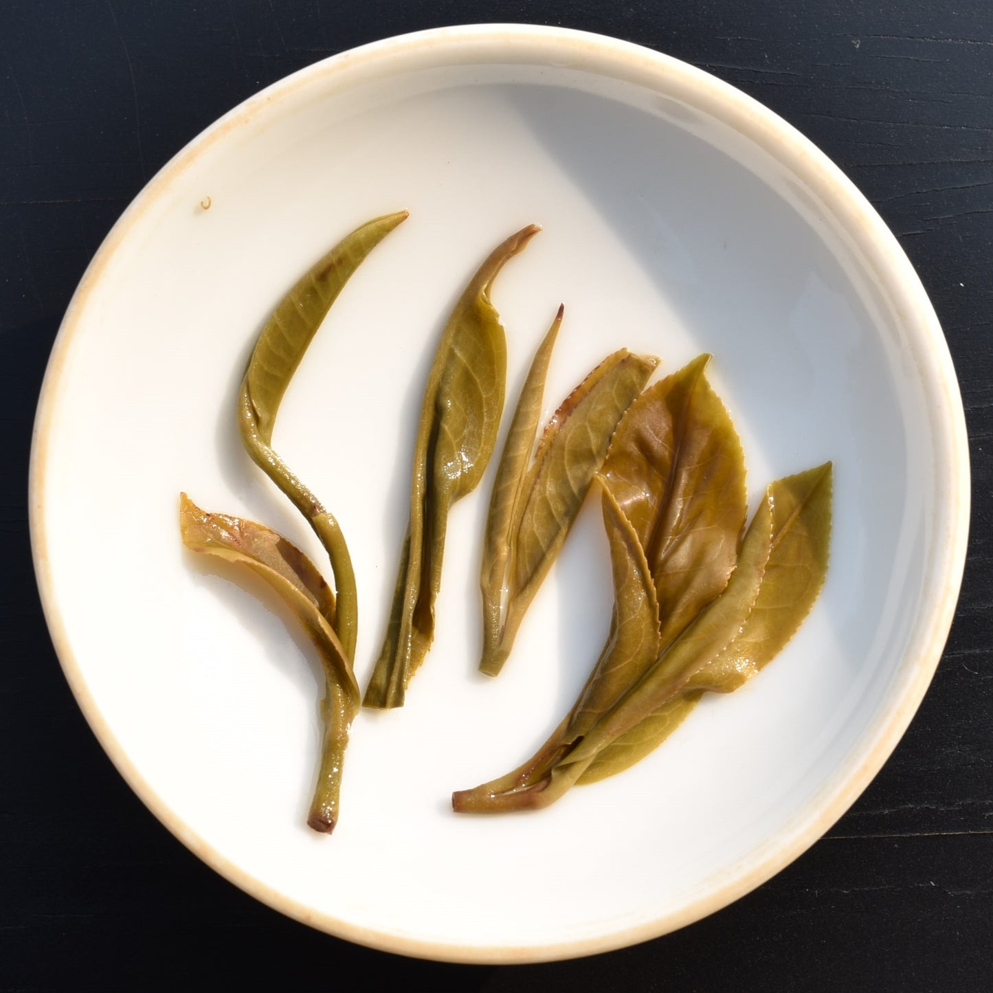 2026 Bull's Head Ridge Gushu Puerh
