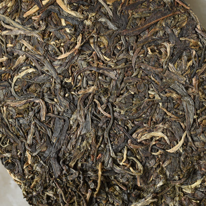 Mengku Rongshi 2021 "Wild Arbor King" (Qiao Mu Wang) Raw Puerh