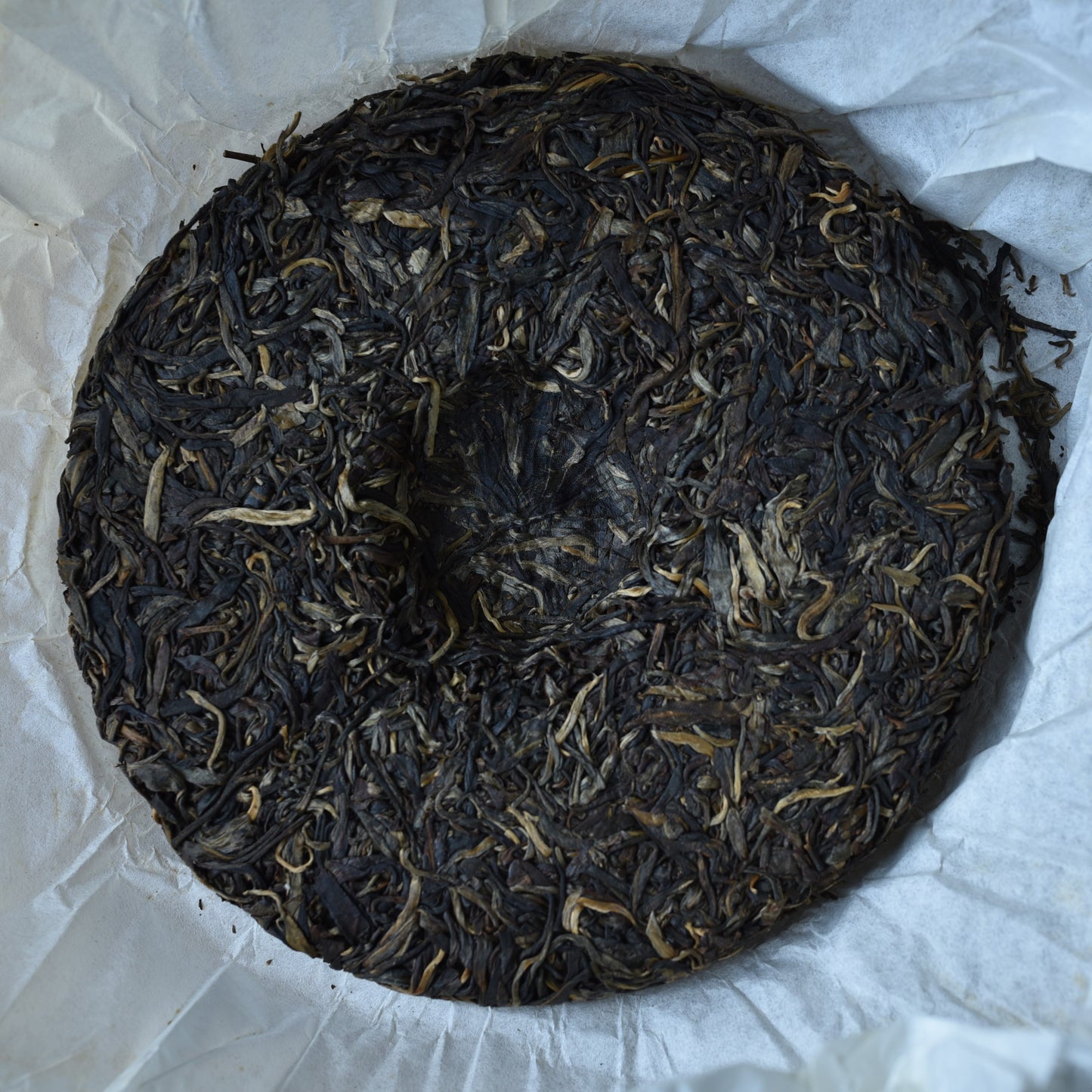 2015 Pasha Old Arbor Small Batch Raw Puerh