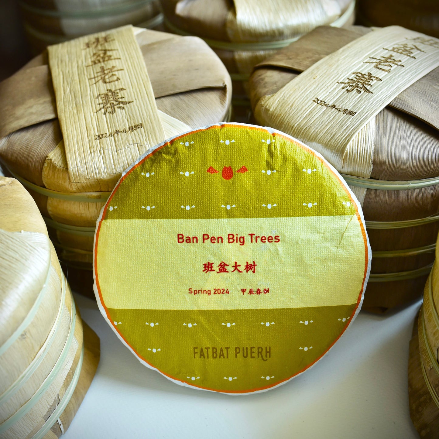 2024 Ban Pen Big Trees Puerh