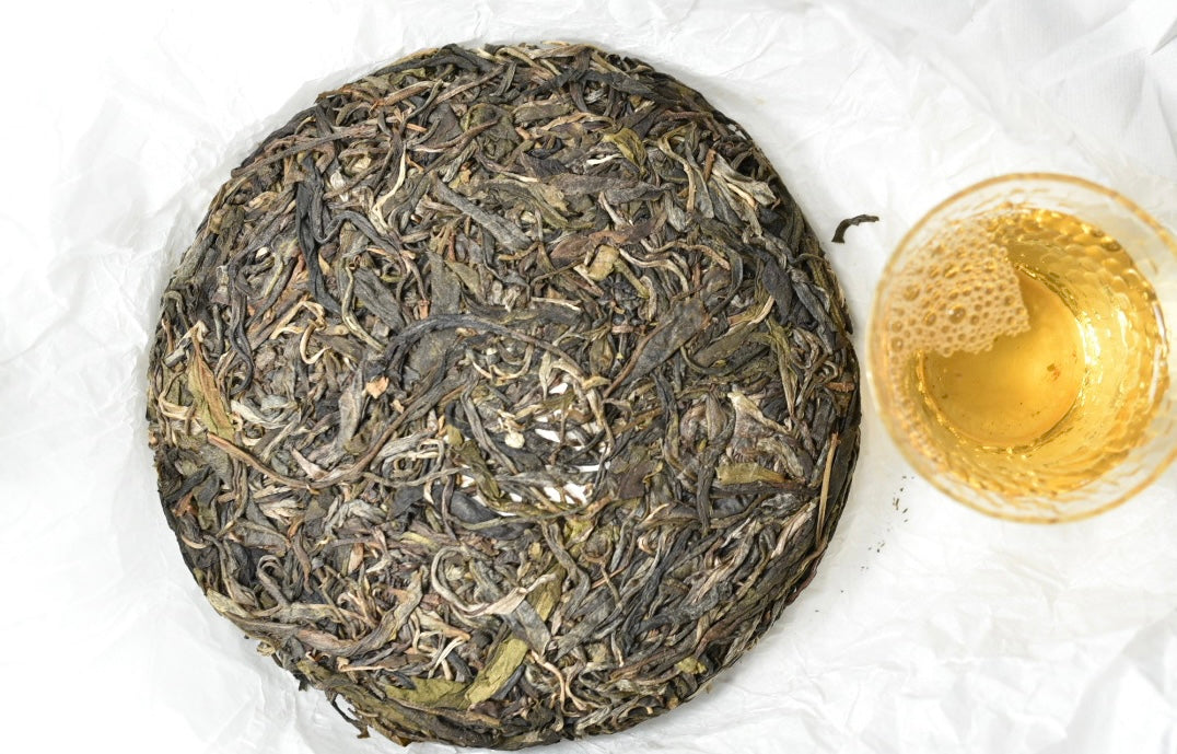 2022 Ma Li Shu (Yibang) Gushu Puerh