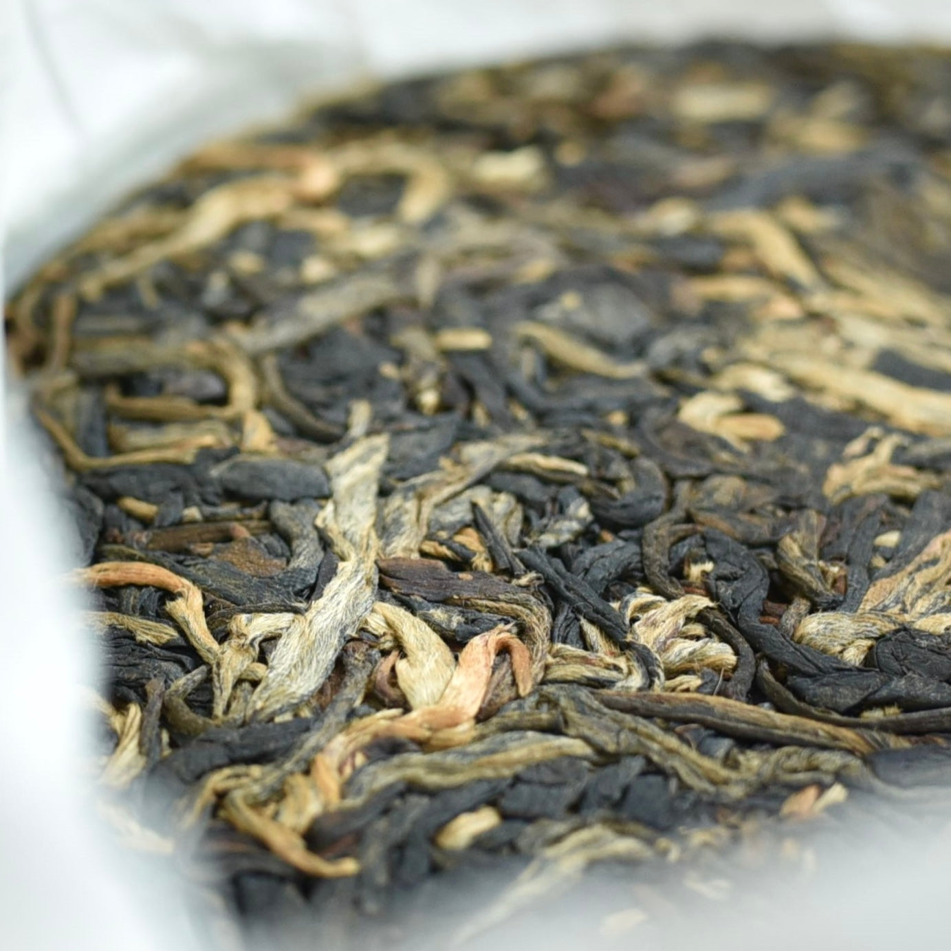 2023 Ban Pen Gushu Black Tea