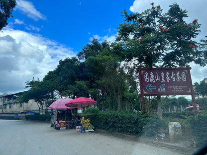 2023 Kunlu Shan Imperial Tribute Tea