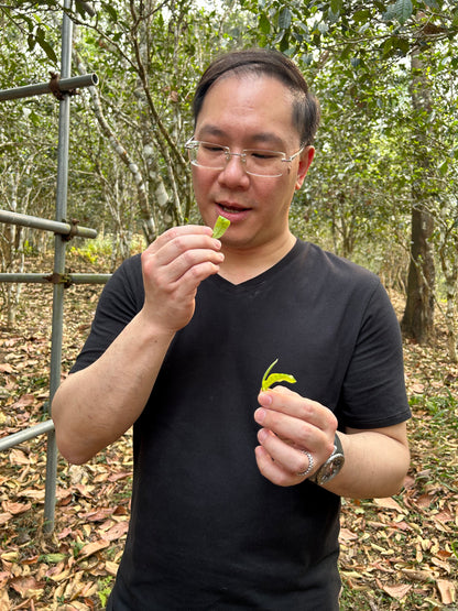 2024 Mang Zhi (Farmer Series) Puerh