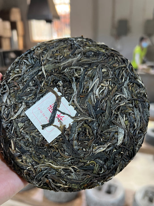 2023 Nan Ben Lao Zhai Gushu Puerh