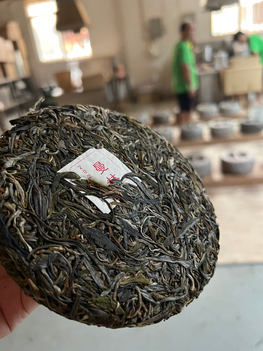 2023 Man Zhuan - Man Lin Village Gushu Puerh