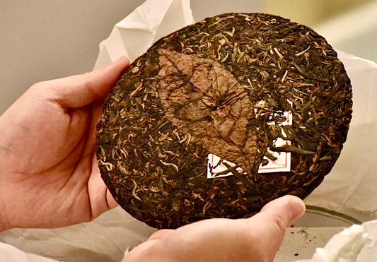 Lancang Ancient Tea Company 2013 "Huang Ye (Wilderness)"