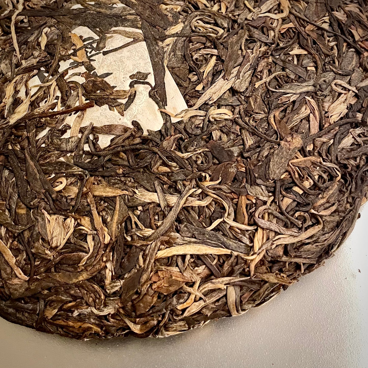 2015 Pasha Old Arbor Small Batch Raw Puerh