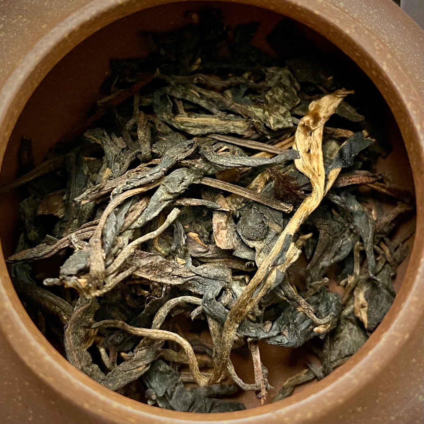 Changtai 2005 "Chen Hong Chang Yiwu" Raw Puerh