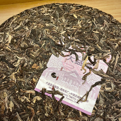 Dayi 2022 "Long Zhu" (Dragon Pillar) Raw Puerh